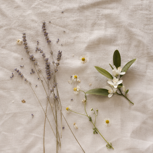 Herbs and flowers on a textured beige surface